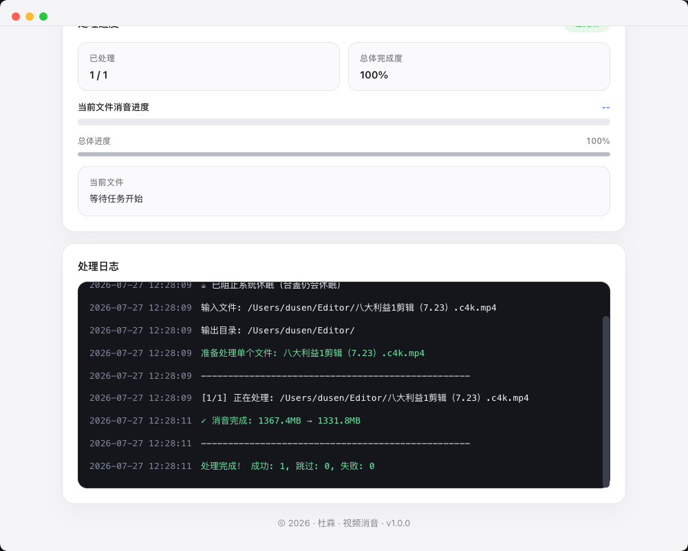 视频消音处理进度与日志